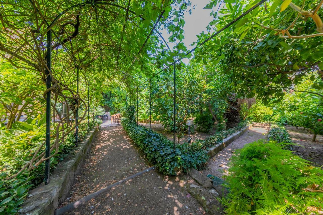 Villa Mezzarancia Palermo Buitenkant foto